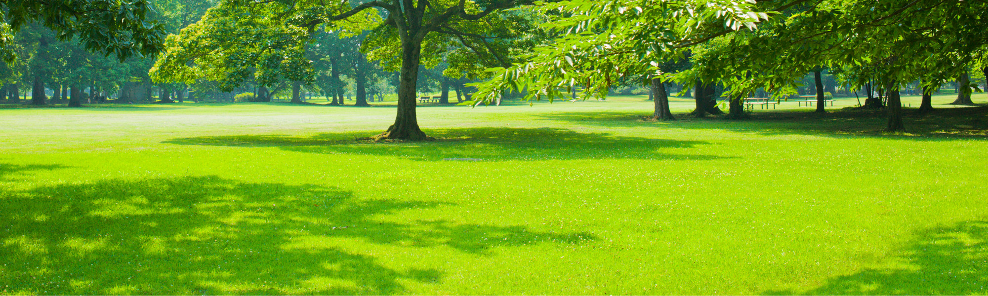 Guides & Advice Hero